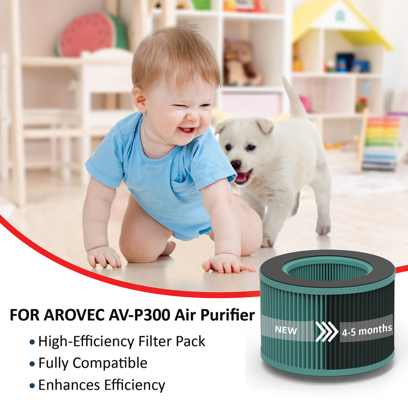 AROVEC AV-P300-RFB H13 True HEPA Bacterial Filter
