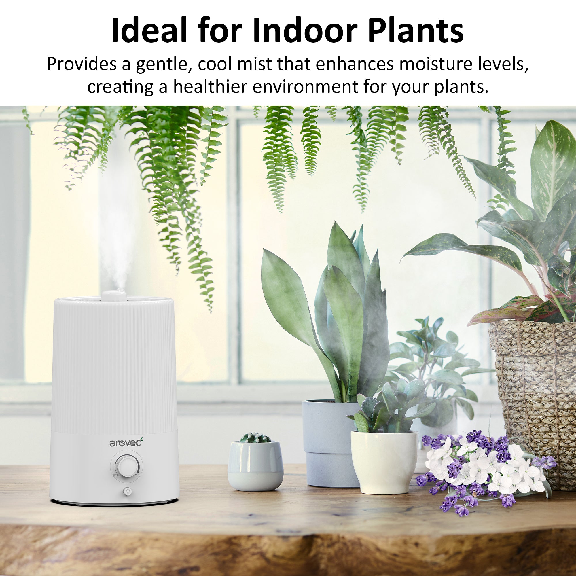 AROVEC Humidifier 4L Top-Fill Ultrasonic Air Humidifier, AroMist-250N