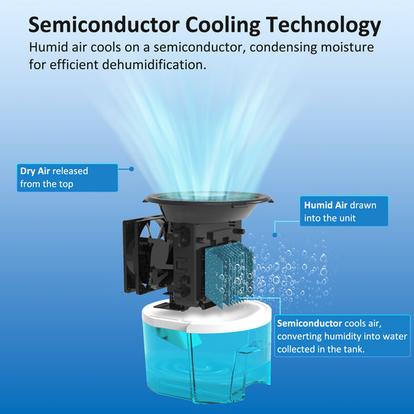AROVEC Air Dehumidifier 900mL Water Tank, AroDry-900